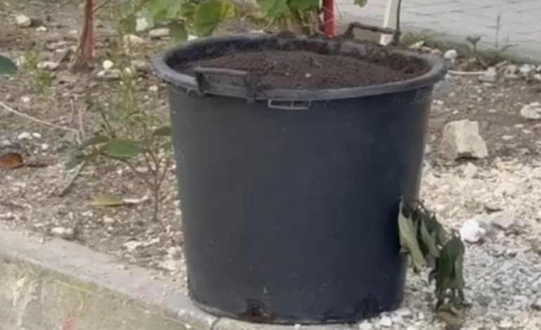 “ËSHTË E RREZIKSHME”/ Gjendet një kovë me përzierje kimike në Vlorë