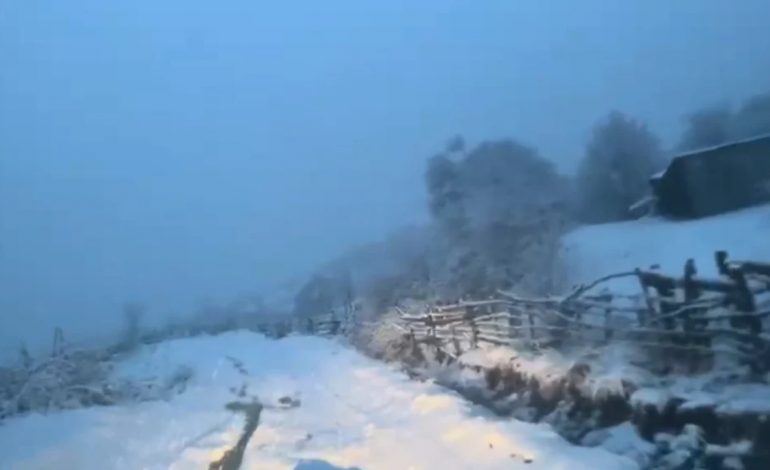 MOTI I KEQ/ Dëbora arrin në 20 cm në fshatin Rovje të Gramshit, kalohet vetëm me zinxhirë