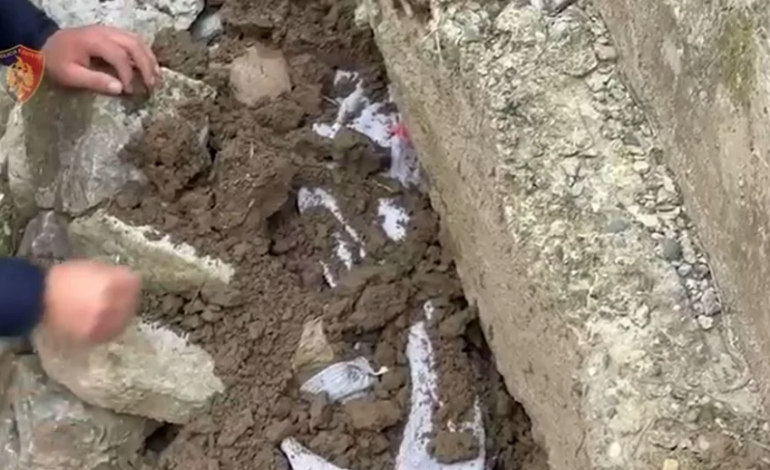 ARMË ZJARRI, MUNICION LUFTARAK DHE DROGË/ Arrestohen tre të rinj në Shkodër! “Malli” ishte fshehur në…