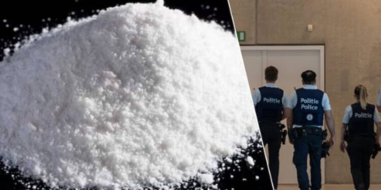 ARRATISEN DREJT SHQIPËRISË/ Shpallen në kërkim tre shqiptarët e akuzuar për trafik droge në Belgjikë, humbin garancinë mijëra euroshe