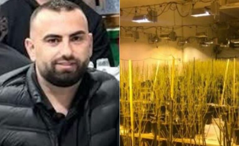 4 MIJË BIMË KANABISI NË BANESËN E DREJTORIT TË ERVP RROGOZHINË/ Reagon Drejtoria e Burgjeve: Bilal Hasa është pezulluar, mbështesim hetimin e plotë