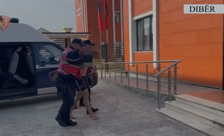 AKUZA PËR SHFRYTËZIM PROSTITUCIONI DHE ORGANIZATË KRIMINALE/ Dalin pamjet nga arrestimi i të shumëkërkuarit në Dibër