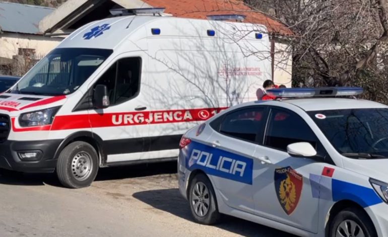 AKSIDENT NË DIVJAKË/ Mjeti bujqësor përplaset me motorin, humb jetën 70-vjeçari