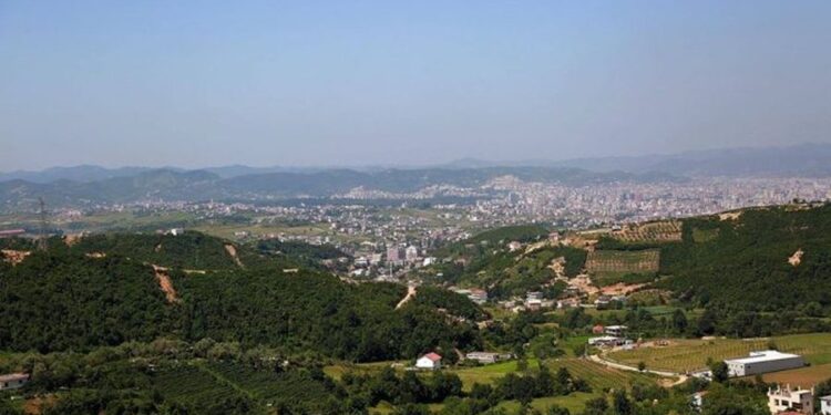 E PAZAKONTË NË TIRANË/ Gjenden 11 qen të ngordhur në kazanët e mbeturinave, nis hetimi