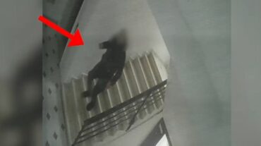 ISHTE KTHYER NË MAKTHIN E BANESAVE/ Arrestohet në Tiranë hajduti serial, hynte në shtëpi duke kopjuar çelësat dhe…