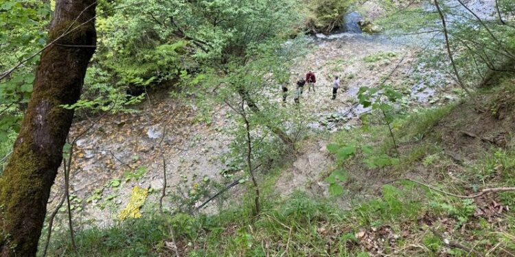 TRAGJIKE TE UJËVARA E SOTIRËS/ Ra nga lartësia, ndërron jetë shoferi i turistëve (EMRI)
