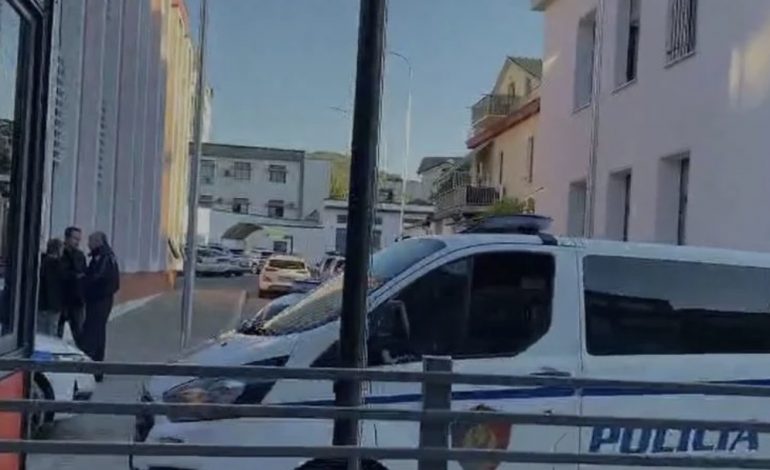OPERACIONI “BLIC” NË ELBASAN/ Tetë muaj hetime me metoda proaktive për goditjen e shpërndarëve të drogës, zbardhen detajet