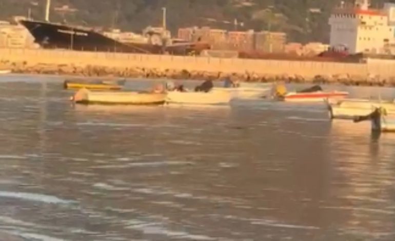 E RËNDË NË VLORË/ Bashkëshorti gjen trupin e gruas të mbytur në det, dyshohet se…