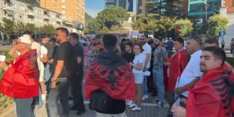 “REVOLUCIONI I FLAMINGOVE”/ Nis protesta e qytetarëve në Tiranë