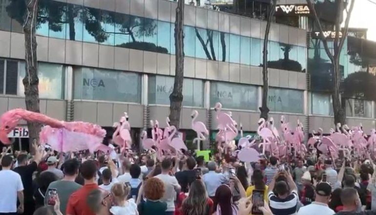 FOTOLAJM/ Flamingot ‘vijnë’ në protestë, paradë para kryeministrisë