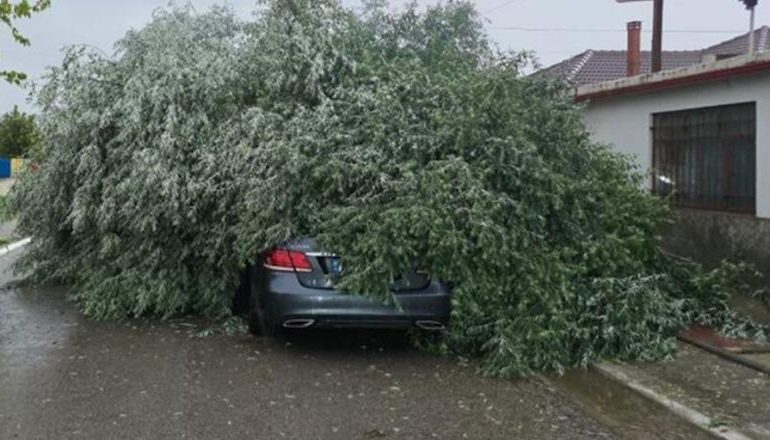 MOTI I KEQ NË KORÇË/ Era e fortë shkakton rrëzimin e pemëve mbi automjete! Breshër në zonat e Maliqit dhe Kolonjës