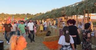 FESTA E GRURIT MBLEDH MIJËRA NJERËZ NË FIER/ Tradita, muzika dhe ‘buka e re’ nën hijen e Apolonisë