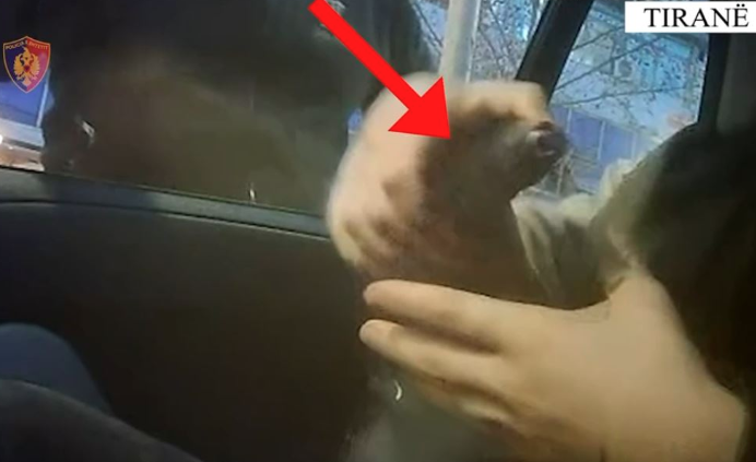 GODITJA E GRUPIT KRIMINAL NË TIRANË/ Pamjet kur trafikantët i shet armë agjentit të inflitruar të policisë