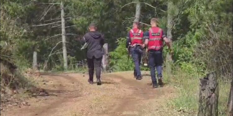 VETËM 6 POLICË TË SHQIPONJAVE NË OPERACION/ Si u organizua puna për kapjen e ish-ushtarakut me rrezikshmëri të lartë