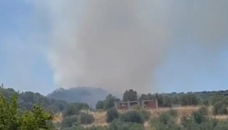 ZJARRI I MADH PËRFSHIN LLAKATUNDIN/ Era e fortë përhap me shpejtësi flakët