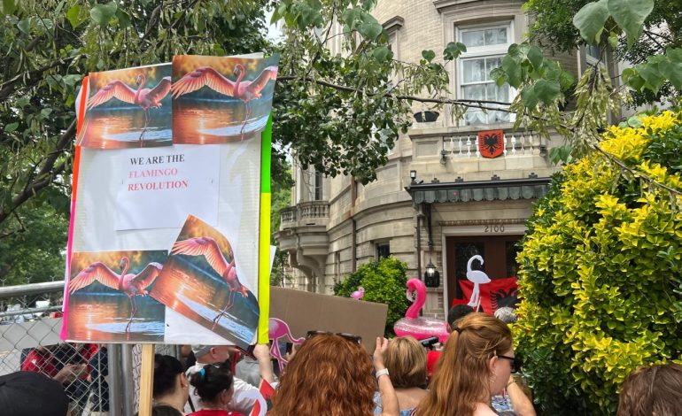 INVESTIMI NË ZVËRNEC/ Protestë e diasporës në Uashington DC para ambasadës shqiptare