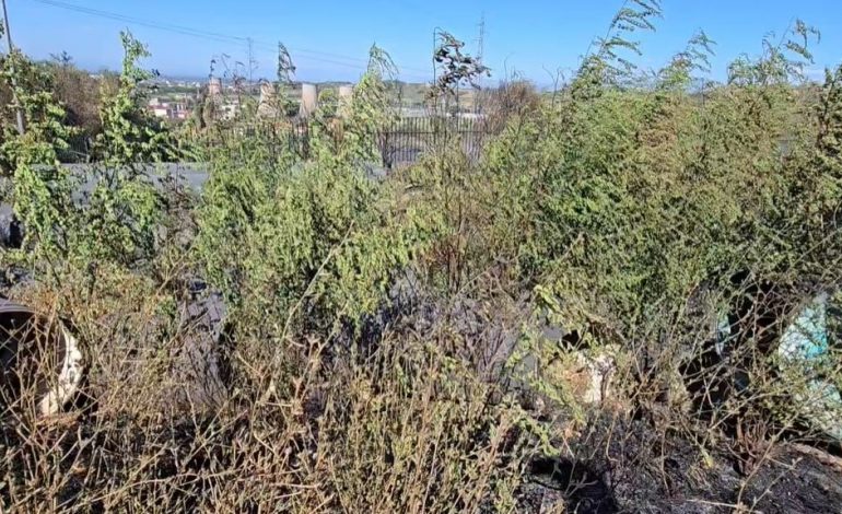 ZJARRI NË DRIZË/ Përshkallëzohet situata, flakët shkaktojnë dëme në stacionin kryesor të furnizimit me ujë të Fierit