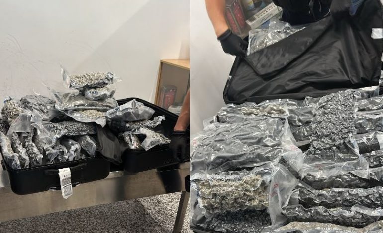 DY VALIXHE PLOT ME KANABIS/ Tentuan të kalonin rreth 50 kilogram drogë nga Rinasi, përfundojnë në polici