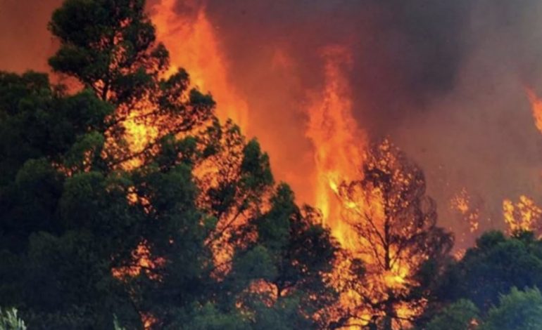 RRITET RREZIKU NGA ZJARRET/ Agjencia Kombëtare e Mbrojtjes Civile: 160 vatra që nga 22 qershori