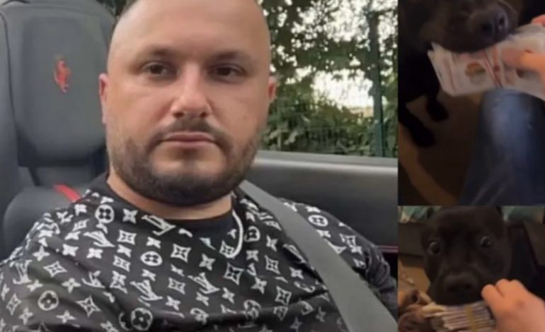 NUK NDALET DORIAN PUKA/ Video duke “ushqyer” qentë me kartëmonedha paund, The Telegraph vijon të sfidojë qeverinë angleze