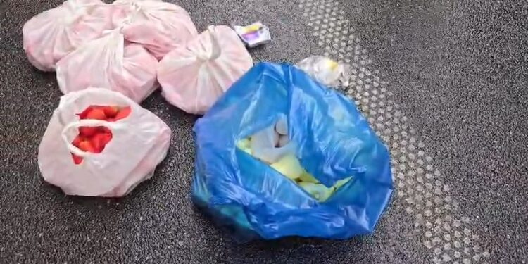 FOTOLAJM/ Nga vezët te domatet e specat, protestuesit mbërrijnë me “arsenal” të ri para Kuvendit