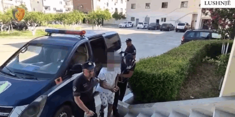 ARRESTOHET NJË PERSON NË LUSHNJE/ Vodhi paratë dhe laptopin e një lokali, pastaj i vuri flakën