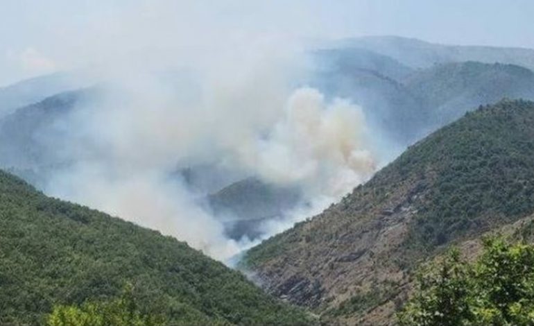 ZJARR I MADH NË MAT/ Dyshohet i qëllimshëm! Flakët përhapen me shpejtësi