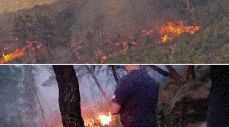 30 VATRA ZJARRI NË 24 ORË/ 8 vijojnë të mbeten ende aktive! Vijojnë operacionet për shuarjen e flakëve