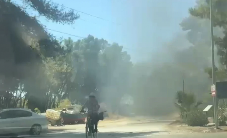 ZJARR NË NJË LOKAL NË ZVËRNEC/ Rrezik për përhapjen e flakëve drejt pyllit