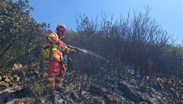 ZJARRET NË VEND/ 45 vatra në 24 orë, 12 ende aktive. Ja si paraqitet situata