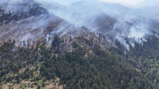 SITUATË KRITIKE ME ZJARRET NË ZONËN E LURËS/ Flakët favorizohen nga era dhe i afrohen banesave! Forca, avionë dhe ambulancë në aksion, dyshohet i qëllimshëm