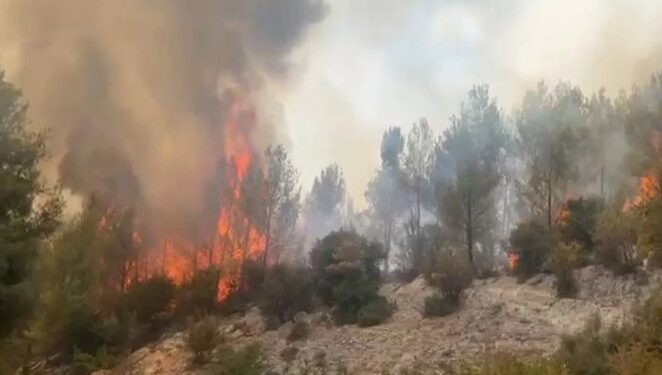 ZJARRET NË VEND/ 7 vatra ende aktive, flakët përfshijnë Dajtin, Lurën, Matin dhe Pukën