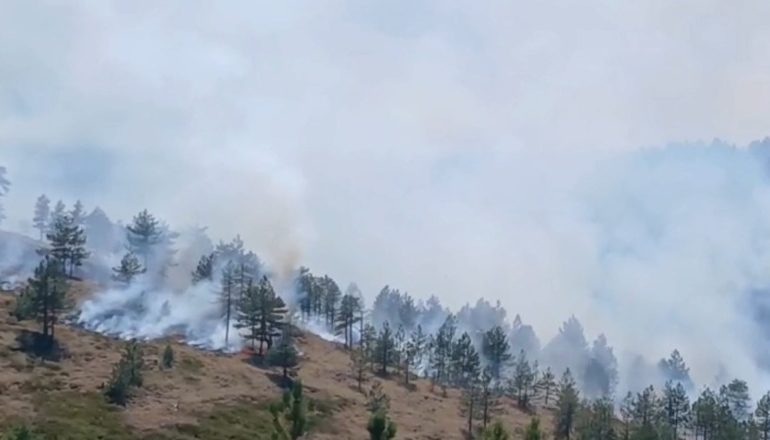 ZJARRET NË VEND/ 5 ende aktive dhe 3 nën monitorim! Përmirësohet situata në Pukë