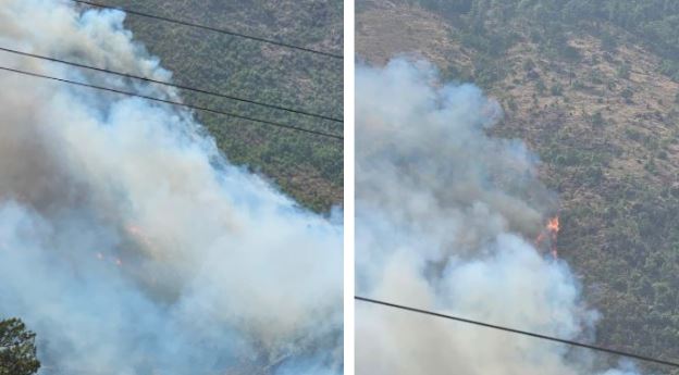 ZJARRI DEL JASHTË KONTROLLIT NË FIER/ Flakët përfshijnë pyllin e Trodhenit, era e fortë vështirëson ndërhyrjen! Nis operacioni nga ajri për izolimin e vatrës