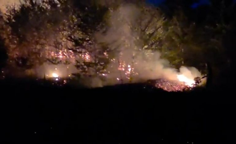 ZJARR MASIV NË PYLLIN E SINICËS NË DEVOLL/ 11 zjarrfikës dhe 3 punonjës pyjorë në terren