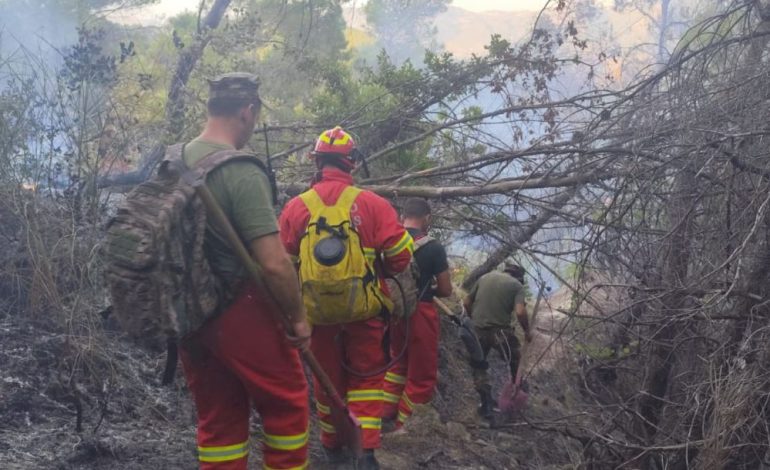 ZJARRI NË DRENIE TË PATOSIT/ Vijon puna për izolimin e vatrave. Në terren 30 forca zjrrfikëse