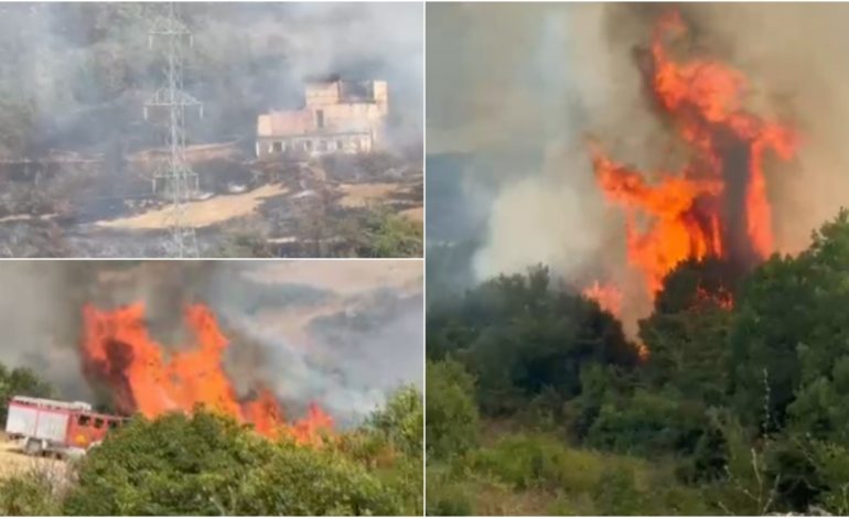 ZJARR I MADH NË KLOS/ Flakët përhapen në zonën pyjore, rrezikohen edhe linjat e tensionit të lartë