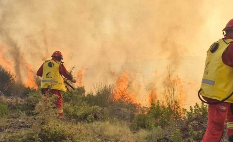 SHQIPËRIA NË “LUFTË” ME FLAKËT/ 5 vatra aktive, evakuohen 4 familje në Mallakastër