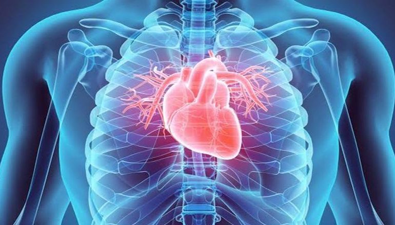 STUDIMI: Stresi dhe inflamacioni mund të dëmtojnë zemrën në heshtje
