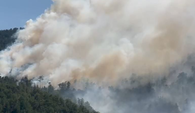 ALARM NË PUKË/ Zjarri në Malin e Tërbunit del jashtë kontrollit e i afrohet qytetit! Vatrat shtrihen në 12 km, kërkohet ndërhyrje urgjente nga ajri