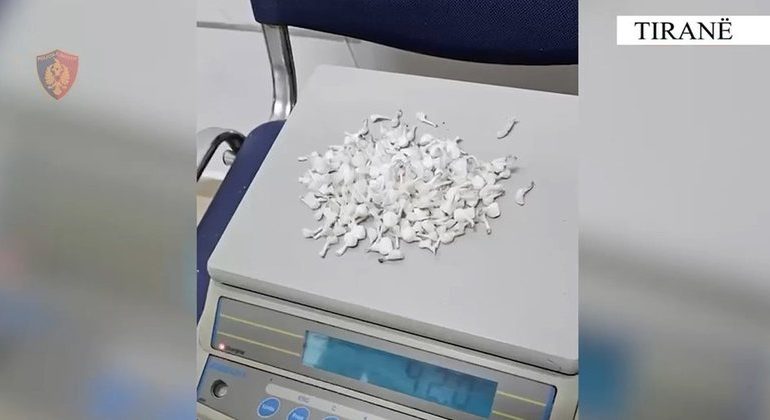 DROGË PRANË SHKOLLAVE NË TIRANË/ Arrestohet 28-vjeçari me 235 doza kokaine