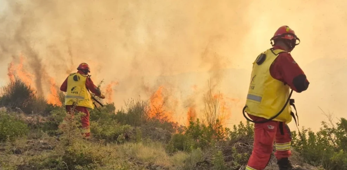ZJARRET NË VEND  12 vatra ende aktive  flakët përfshijnë disa qarqe  qindra forca dhe 4 helikopterë në terren