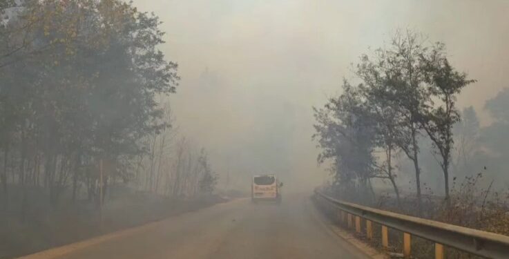 ZJARR I FRIKSHËM NË QAFËN E KOSHOVICËS/ Retë e tymit toksik bllokojnë qarkullimin në aksin Fier-Levan! Një çift të moshuarish rrezikon jetën