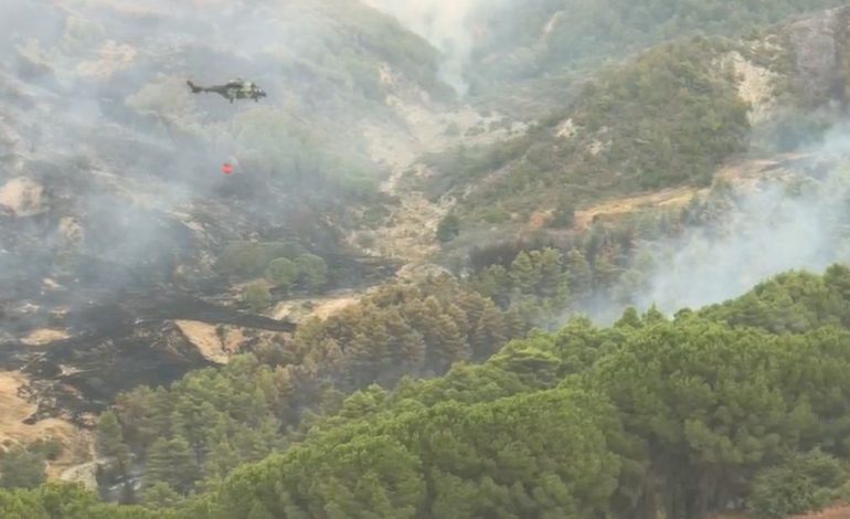 FLAKË E MADHE TEK PYLLI ME PISHA/ Ndërhyrje nga ajri në Cërrilë të Mallakastrës