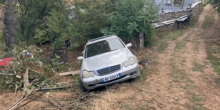 NGJARJA TRAGJIKE NË MALIQ/ Policia jep detaje: Ndodhi pasi shoferi kish lënë pa siguruar frenat e dorës