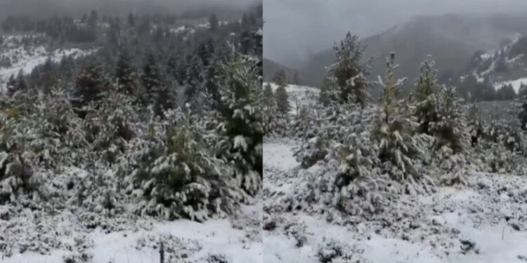 DITË DIMRI/ Reshjet e para të dëborës zbardhin Bjeshkët e Tropojës
