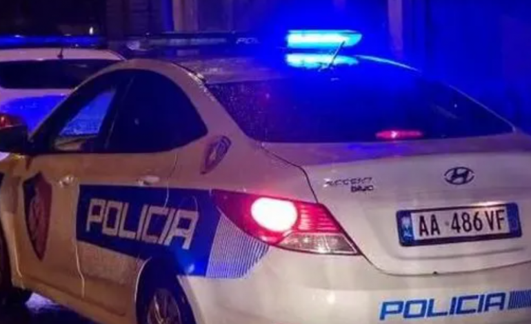 TË SHTËNA ME ARMË NË NDROQ/ Shoqërohen në polici 4 persona