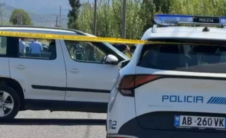 E RËNDË NË VAUN E DEJËS/ Burri tenton të vrasë gruan, e qëllon me sqepar